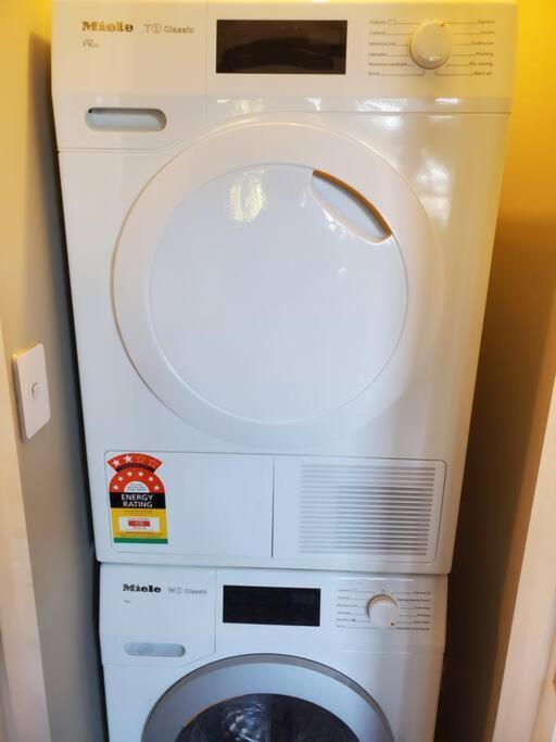 Koru Flat Apartment Dunedin Ngoại thất bức ảnh