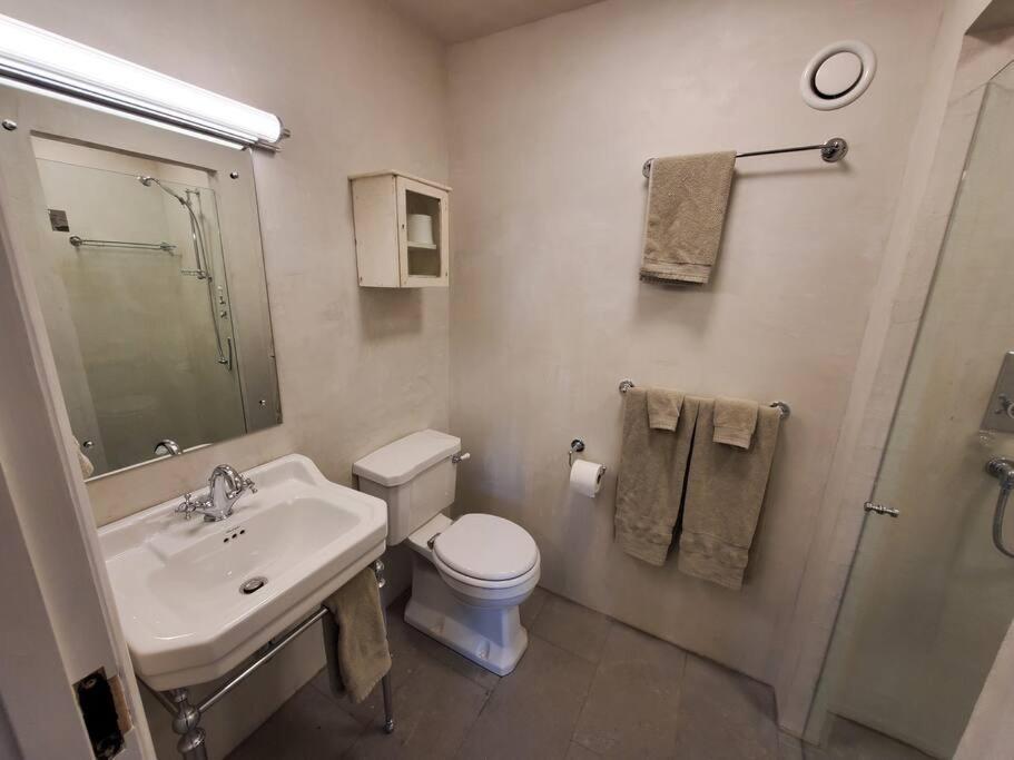 Koru Flat Apartment Dunedin Ngoại thất bức ảnh